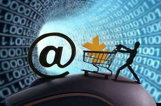 互聯網保險的下半場 數據服務驅動的新增長路徑